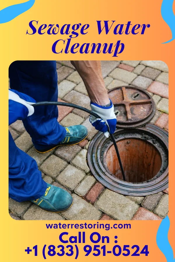 Sewage Water Cleanup in Hurley, SD